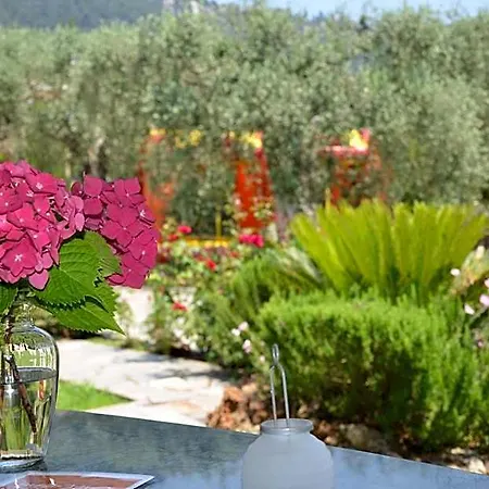 Hotel Maria